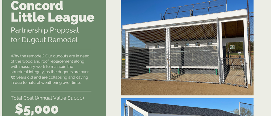 Interested in sponsoring a Dugout Remodel?